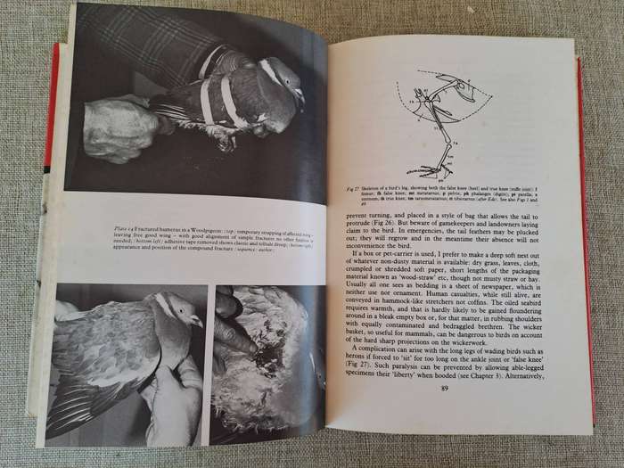 First Aid and Care of Wildlife - Richard Mark Martin
