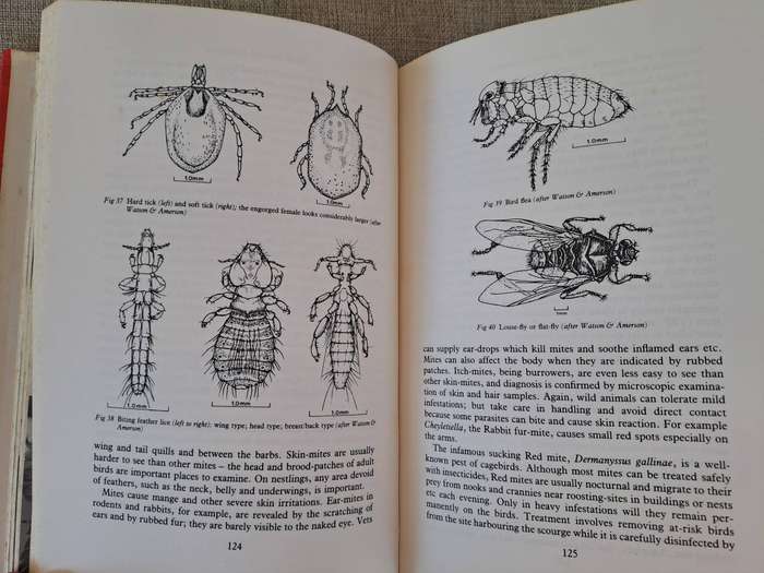 First Aid and Care of Wildlife - Richard Mark Martin