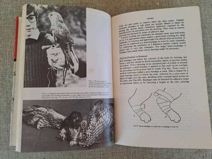 First Aid and Care of Wildlife - Richard Mark Martin
