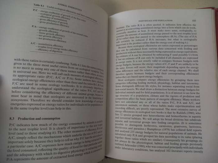Animal Energetics - Tertiary Level Biology - Alan E Brafield , Michael J Llewellyn