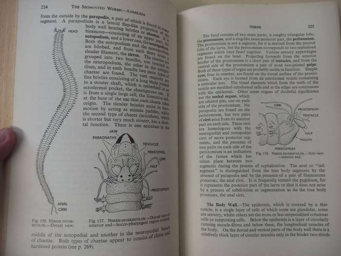 Animal Biology, Ninth Edition - A.J. Grove and G.E. Newell