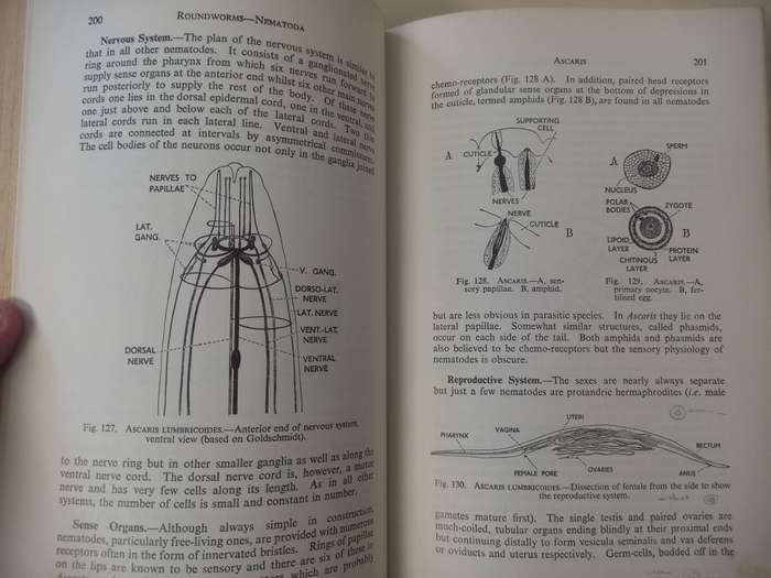 Animal Biology, Ninth Edition - A.J. Grove and G.E. Newell