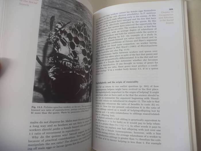 AN INTRODUCTION TO BEHAVIOURAL ECOLOGY (second edition). By J. R. Krebs and N. B. Davies
