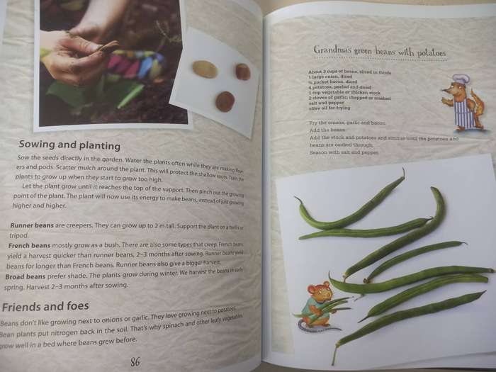 Roots, Shoots & Muddy Boots (Hardcover) - Samantha van Riet