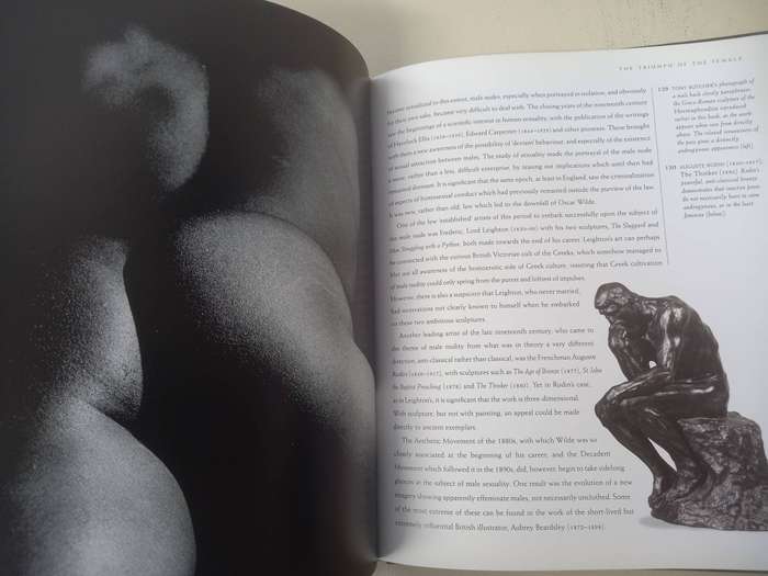 Adam: The Male Figure in Art - Edward Lucie - Smith