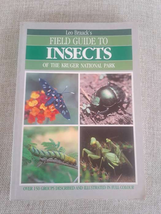 Field Guide to Insects of the Kruger National Park