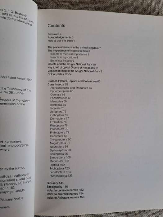 Field Guide to Insects of the Kruger National Park