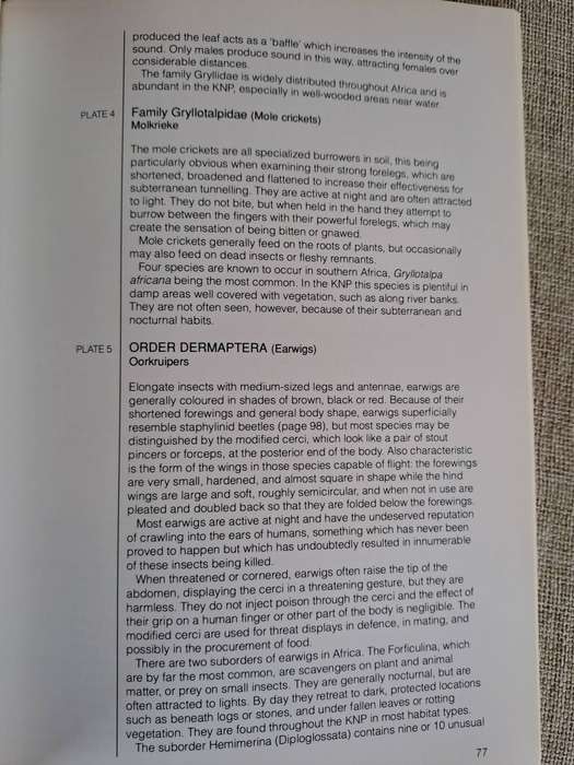 Field Guide to Insects of the Kruger National Park