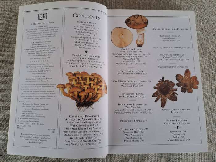 Mushrooms (Eyewitness Handbooks) - Thomas Laesse & Gary Lincoff