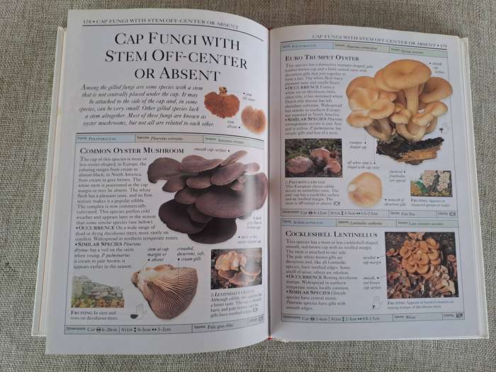 Mushrooms (Eyewitness Handbooks) - Thomas Laesse & Gary Lincoff