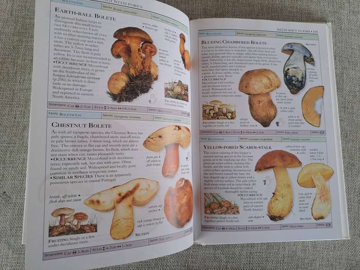 Mushrooms (Eyewitness Handbooks) - Thomas Laesse & Gary Lincoff