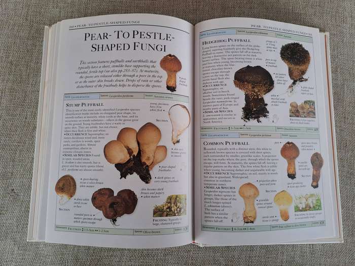 Mushrooms (Eyewitness Handbooks) - Thomas Laesse & Gary Lincoff