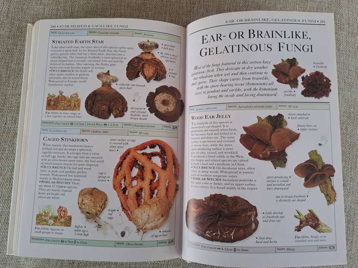 Mushrooms (Eyewitness Handbooks) - Thomas Laesse & Gary Lincoff