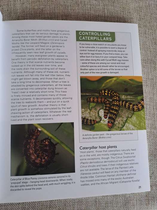 Gardening for Butterflies: Planning and Planting an insect-friendly garden in South Africa