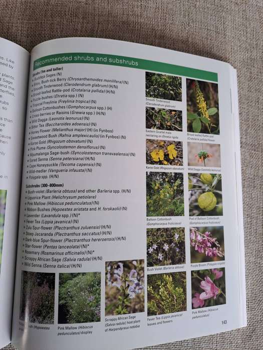 Gardening for Butterflies: Planning and Planting an insect-friendly garden in South Africa