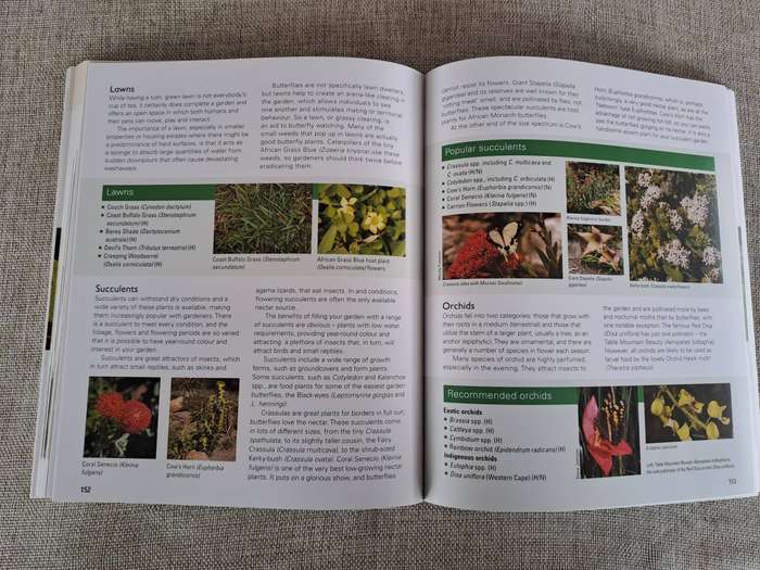 Gardening for Butterflies: Planning and Planting an insect-friendly garden in South Africa