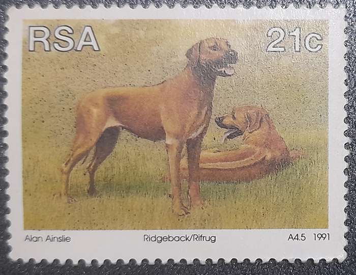 South Africa Ridgeback , Rifrig  1991