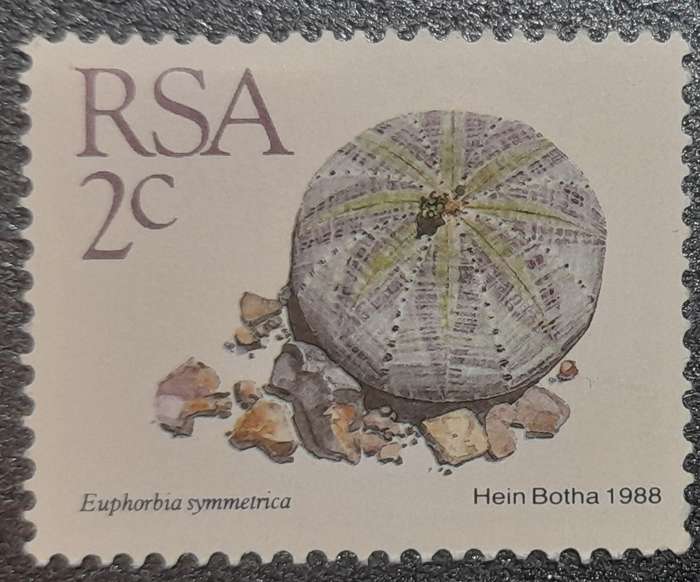 South Africa Euphorbia Symmetrica 1988  2c Stamp