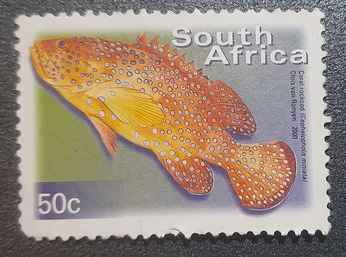 South Africa  Carol Rockcod  Stamp 50c