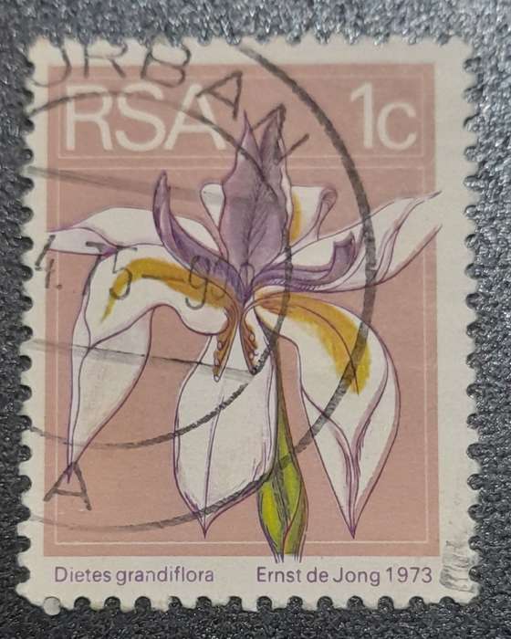 South Africa Dietes Grandiflora 1973 1c Stamps