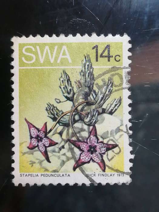 SWA 14c    1973