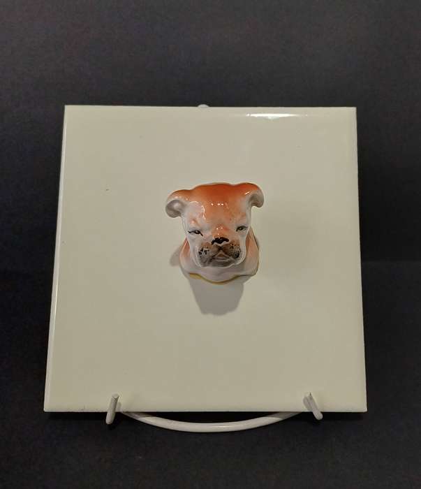Kitsch porcelain bulldog head mounted on a ceramic tile
