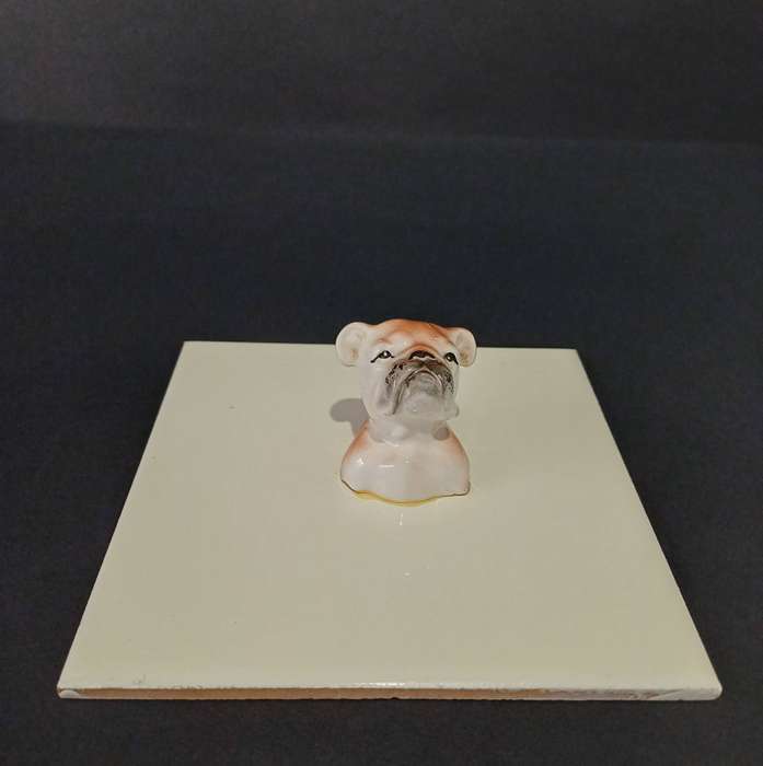 Kitsch porcelain bulldog head mounted on a ceramic tile