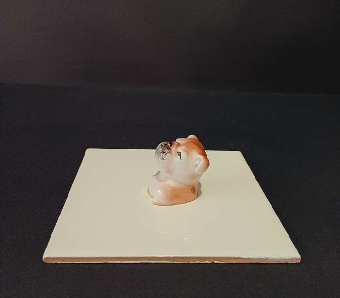 Kitsch porcelain bulldog head mounted on a ceramic tile