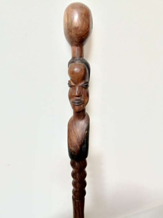 African hardwood Walking stick Central/ lowerAfrica