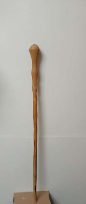 African hardwood Walking stick Central/ lowerAfrica