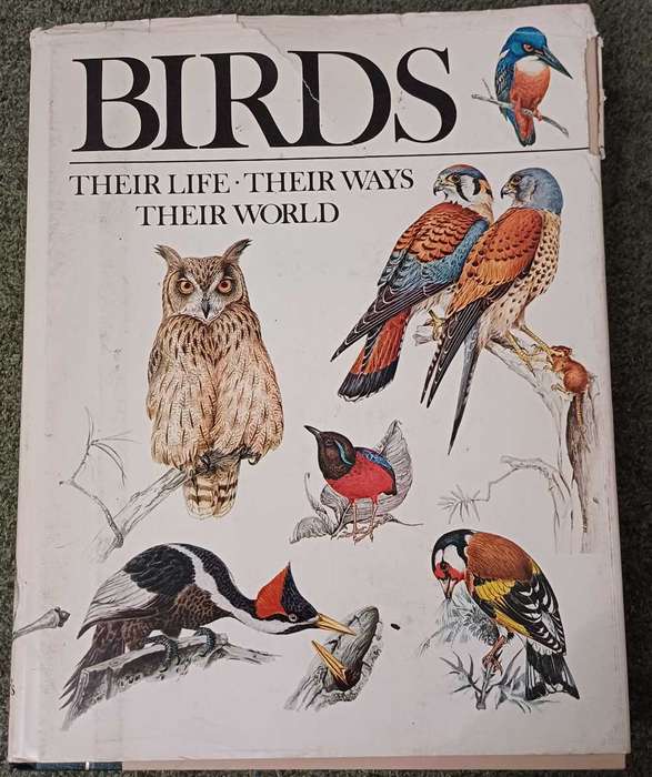 Birds - their life   their ways   their world