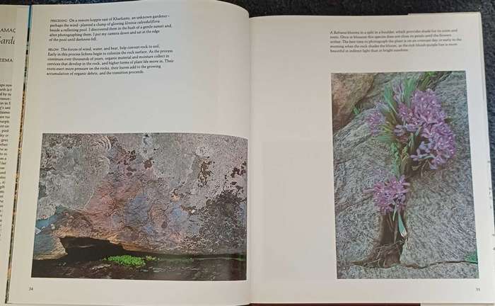 Namaqualand - Freeman Patterson
