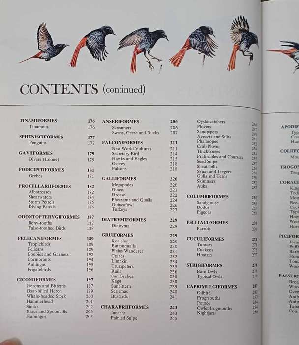 Birds - their life   their ways   their world