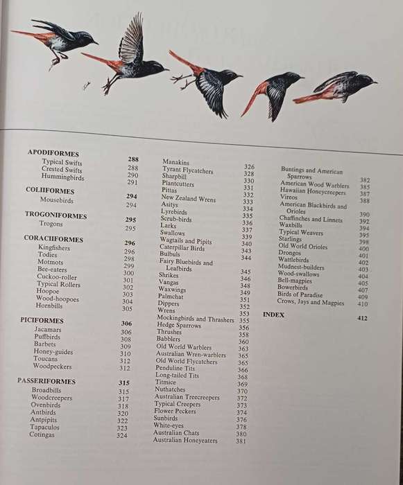 Birds - their life   their ways   their world