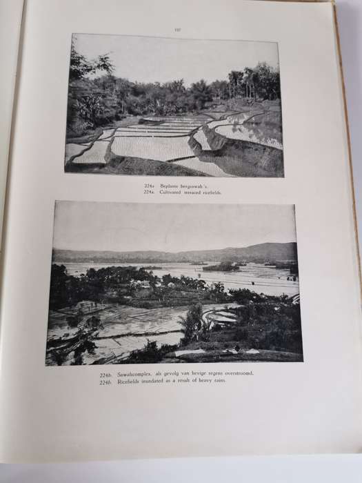 Indie in Woord en Beeld, Pictorial Netherlands * East Indies by Gent L.F.