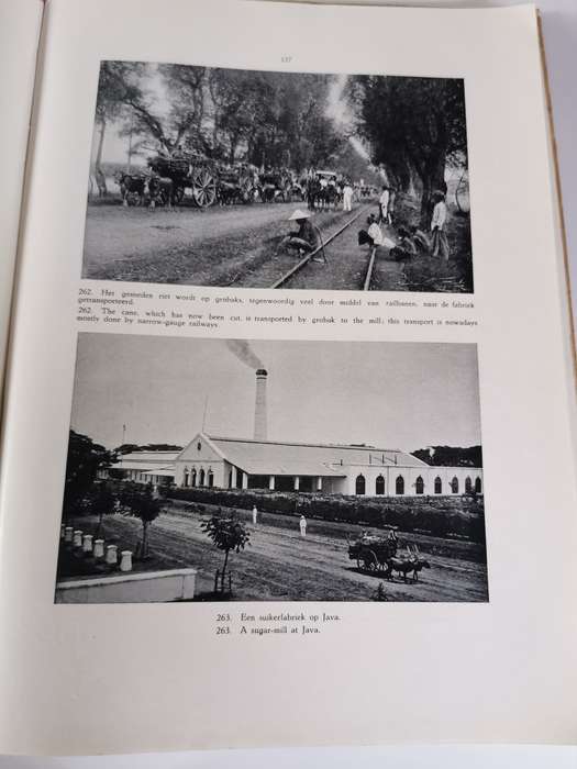 Indie in Woord en Beeld, Pictorial Netherlands * East Indies by Gent L.F.