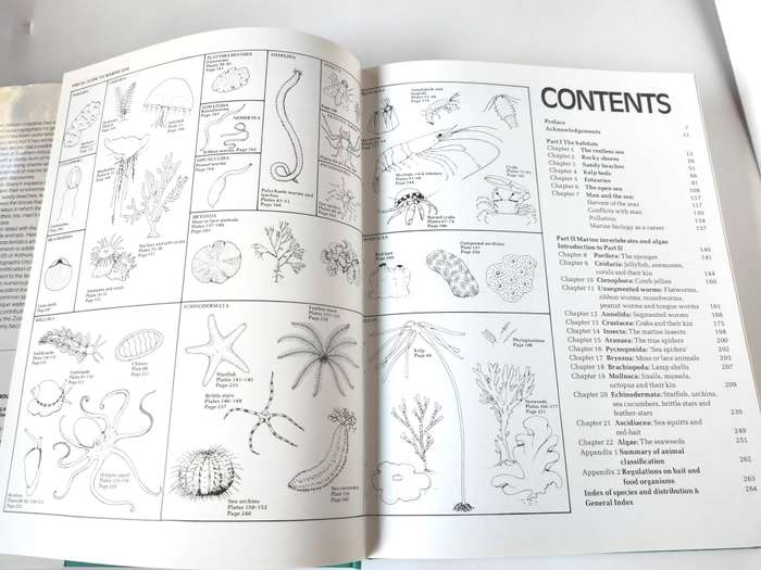 The Living Shores of Southern Africa by Margo & George Branch