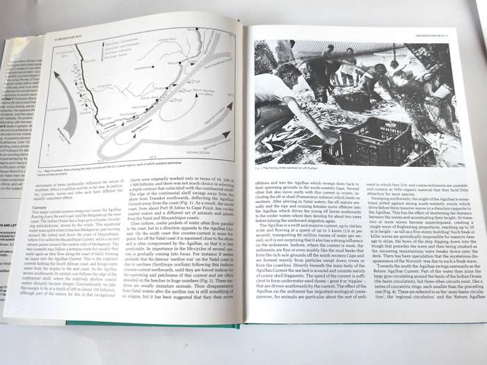 The Living Shores of Southern Africa by Margo & George Branch