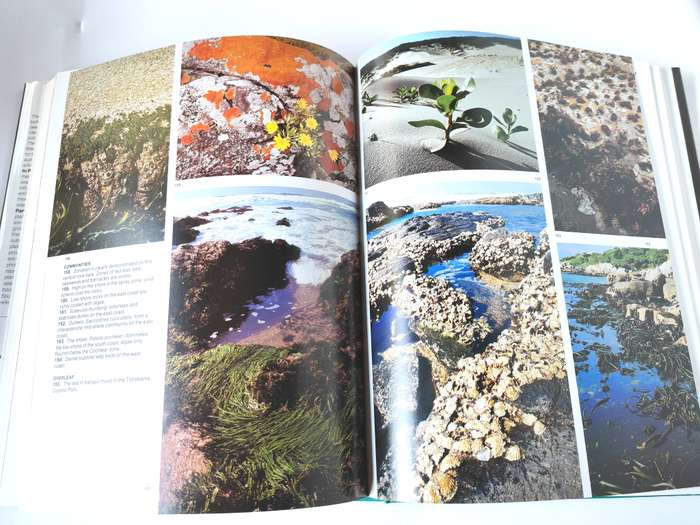 The Living Shores of Southern Africa by Margo & George Branch