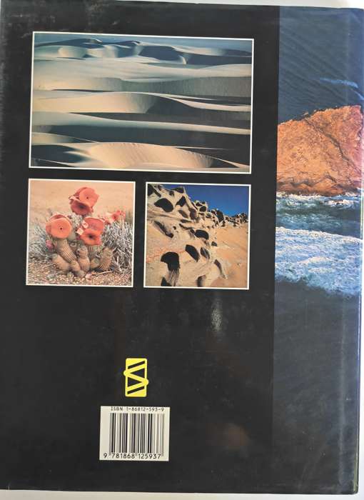 Skeleton Coast by Amy Schoeman