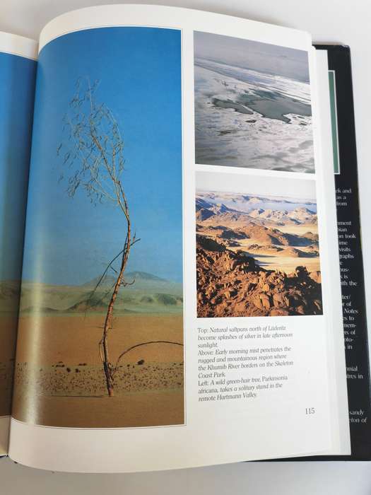 Skeleton Coast by Amy Schoeman