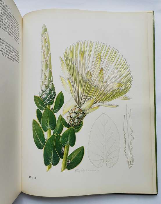 The Proteas of Southern Africa - J.P. Rouke