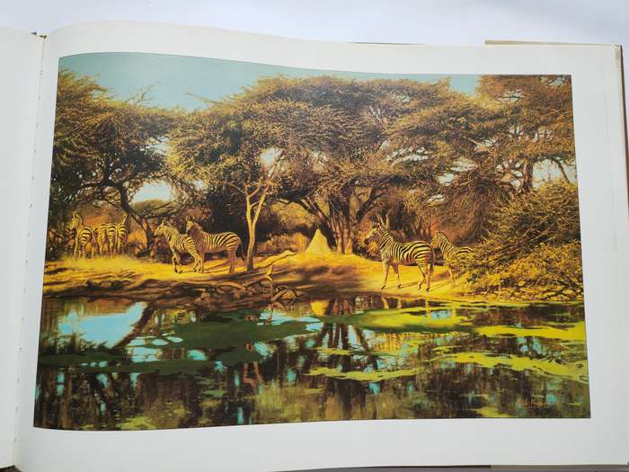 Botswana A Brush with the Wild by Paul Augustinus