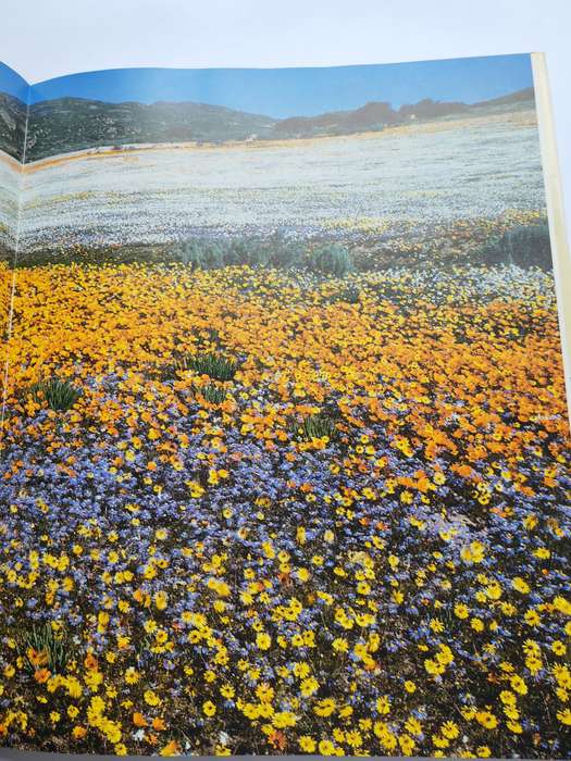 Namaqualand : Garden of the Gods -  Freeman Patterson "SIGNED"