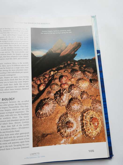 Currents of Contrast: Life in Southern Africa's two oceans - Thomas P. Peschak
