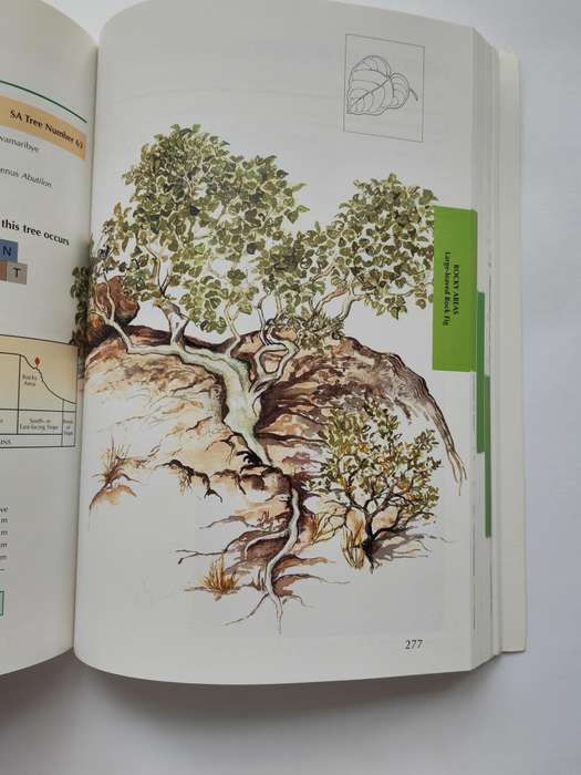 Sappi Tree Spotting BUSHVELD including Pilansberg and Magaliesberg by Lina Grant & Val Thomas