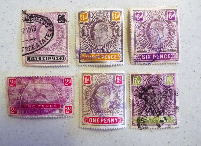 CAPE OF GOOD HOPE X 6