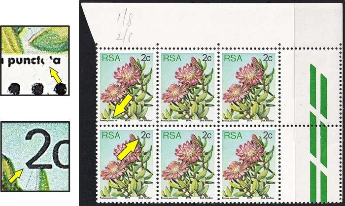 1977 RSA 2c Protea UMM(**) Block with 2 x Listed Varieties - Broken Letters & Shaved "2"