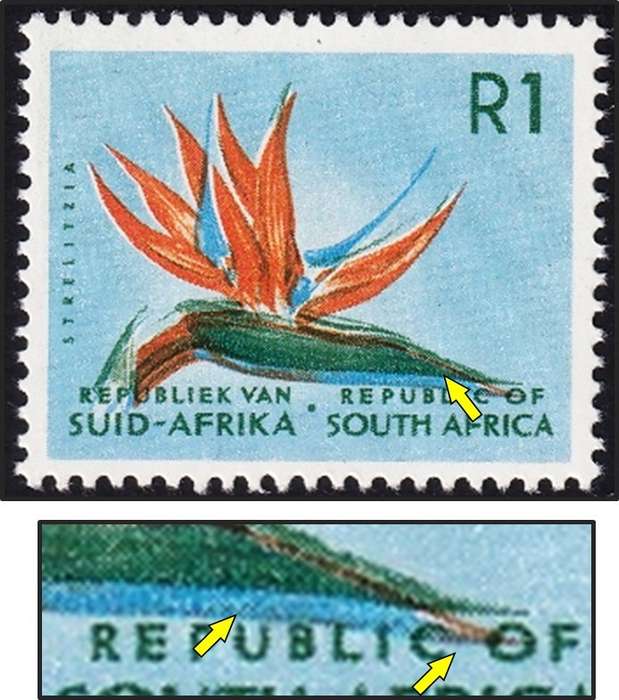 1964 RSA R1 UMM(**) with a Large Colour Shift/Double Petals