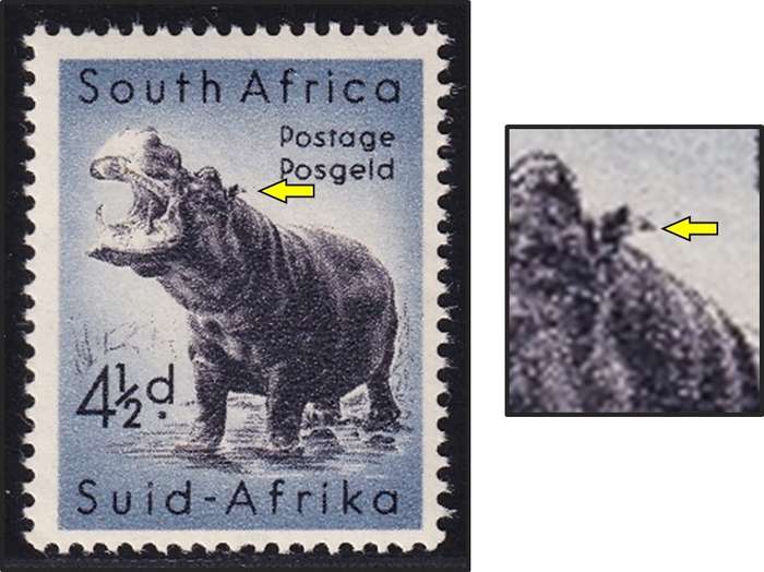 1954 Union 4½d UMM(**) UHB Variety - Tick on Ear